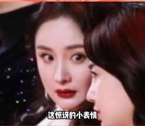 娱乐圈的吃瓜影带,笑料百出，明星们也疯狂！